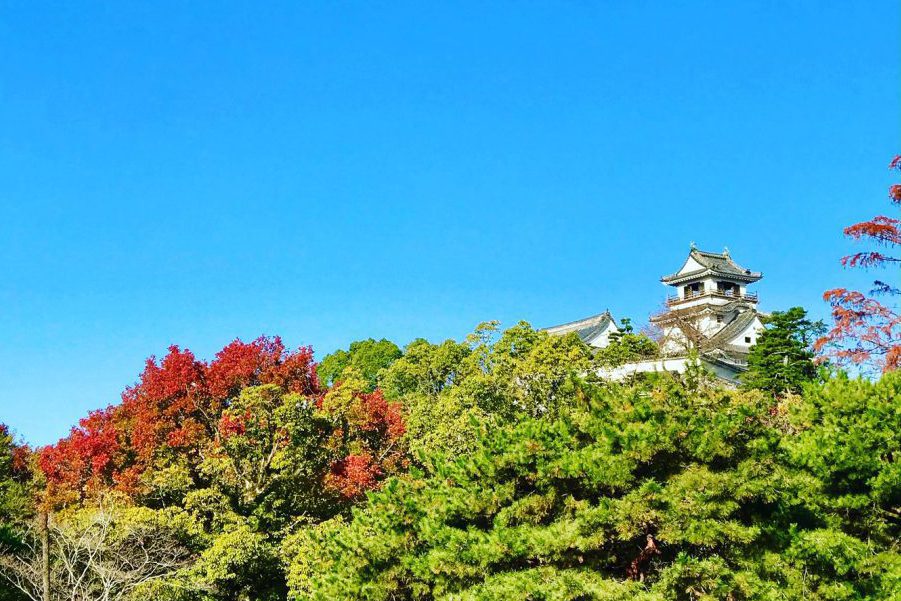 高知の写真館（高知城）