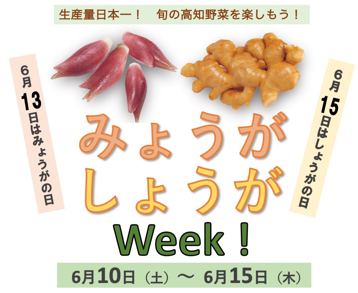 ６月１０日（土）〜１５日（木）はみょうがしょうがweek