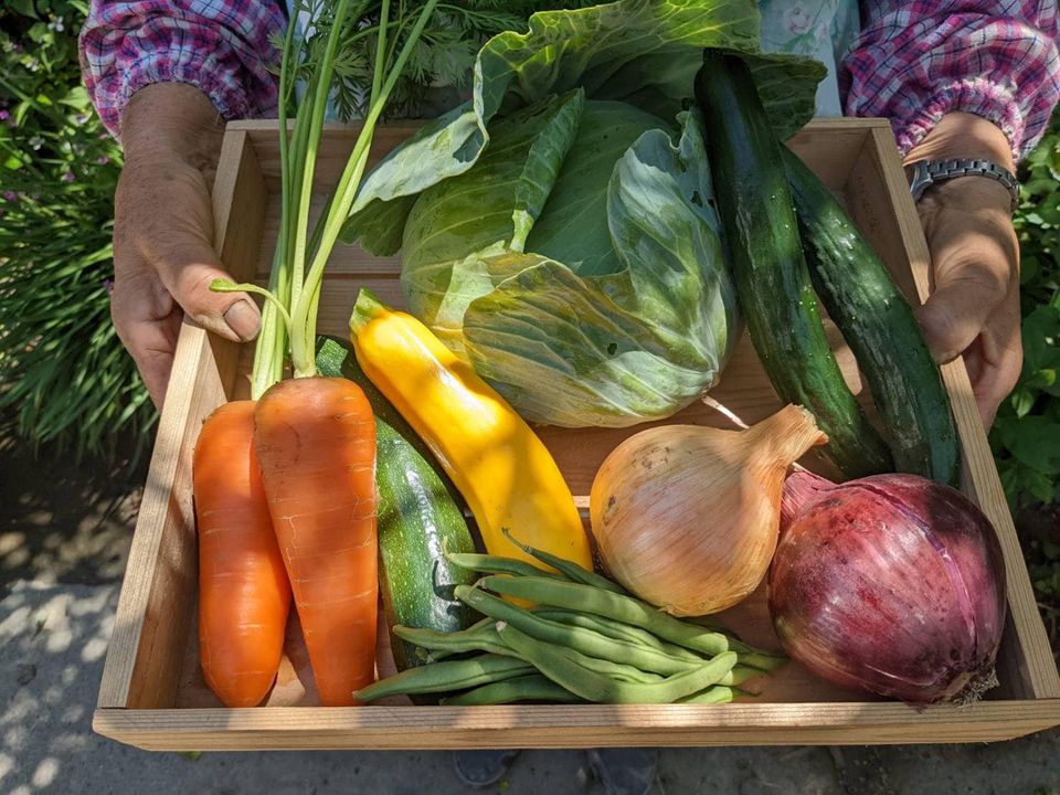 プレミアム野菜の生産者が集う「アンビシャスの会」が初登場