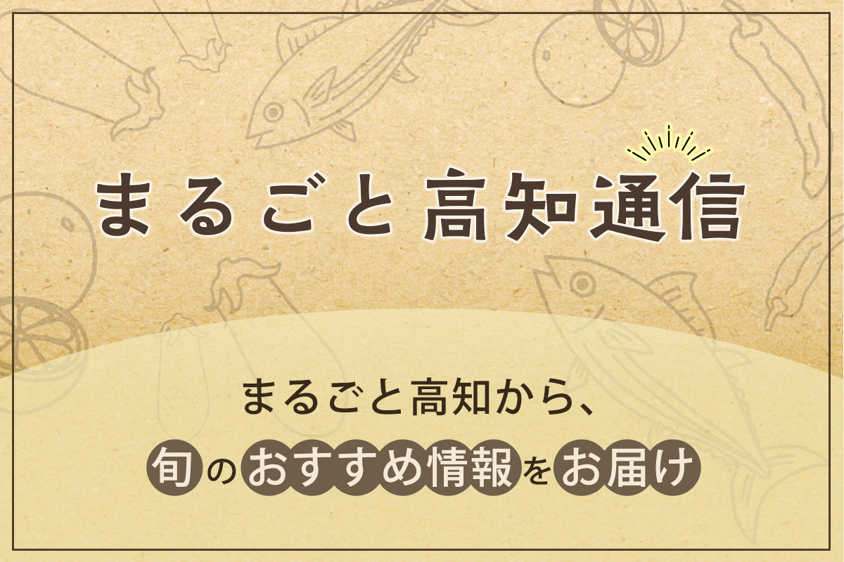 まるごと高知通信
